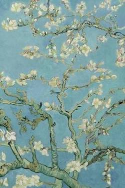 almond blossom painting, the flowers are white and the background is light blue.