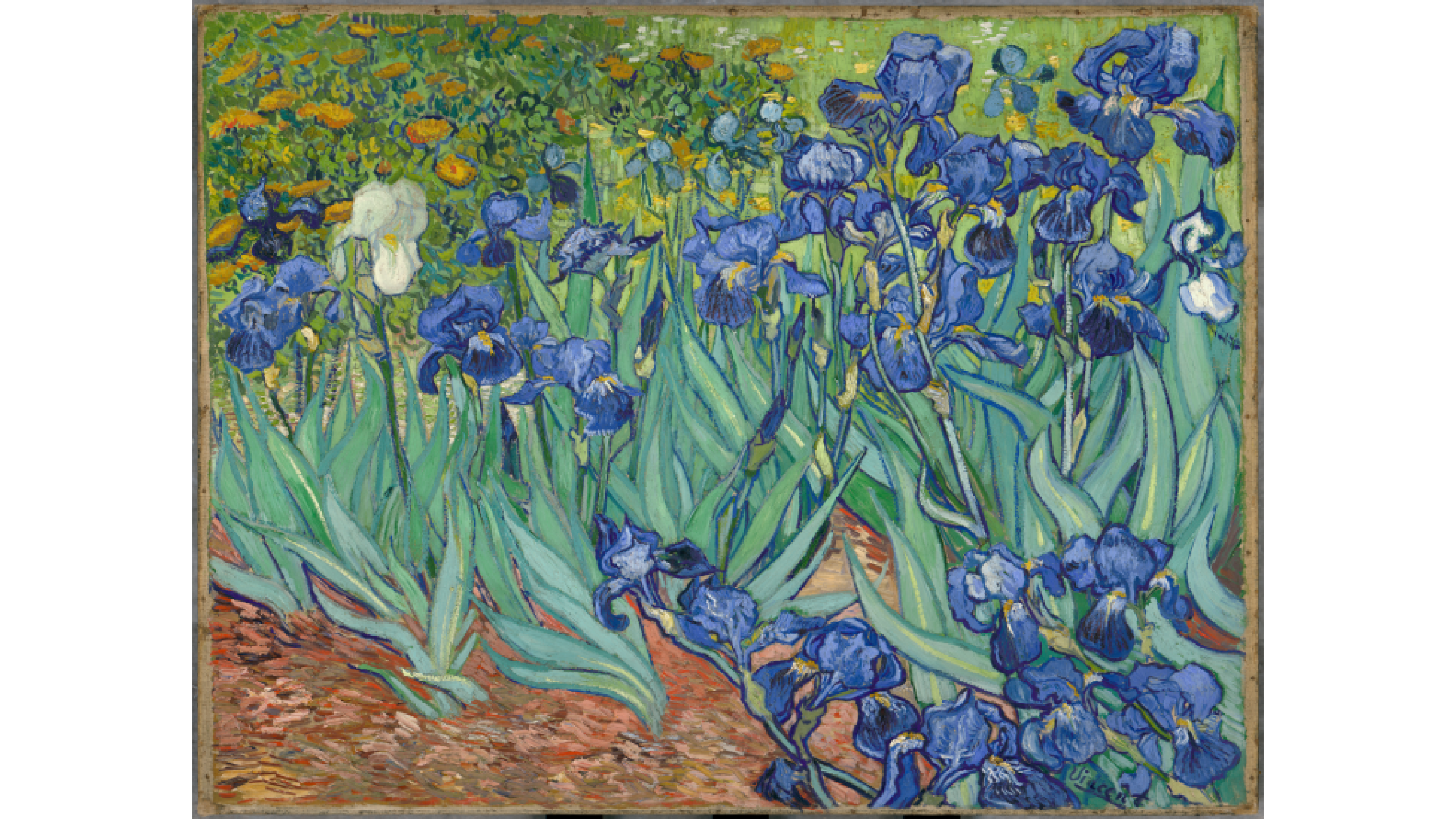 Oil painting of irises plants.