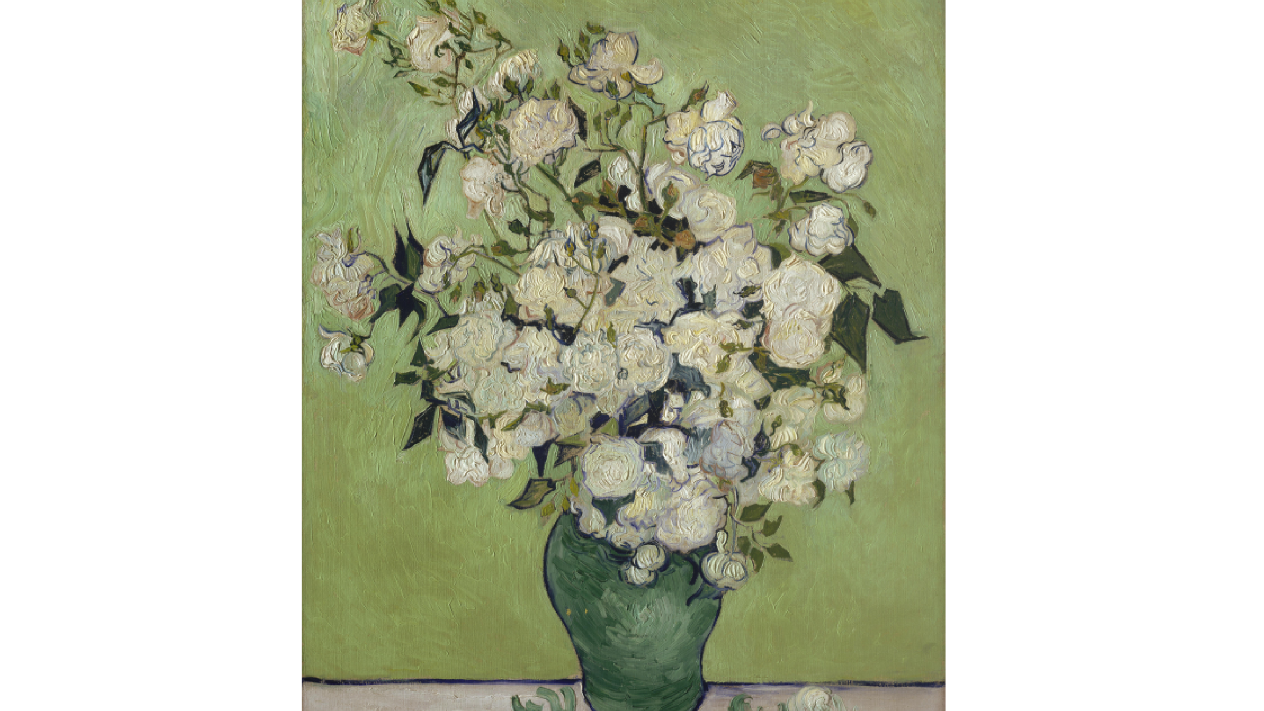 Oil painting of a green vase of white roses. The background is green.